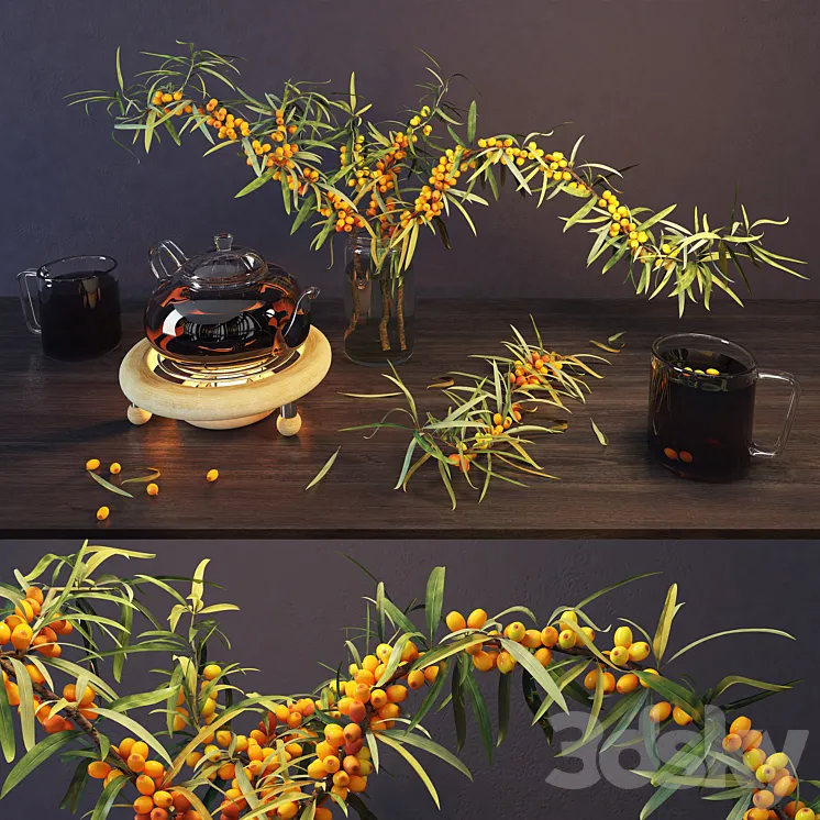 Sea buckthorn and kettle 3DS Max
