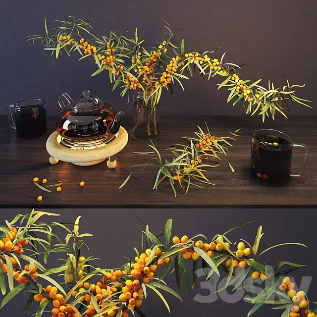 Sea buckthorn and kettle 3DSMax File