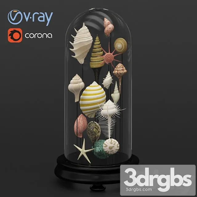 Seashell Decorative 1 3dsmax Download