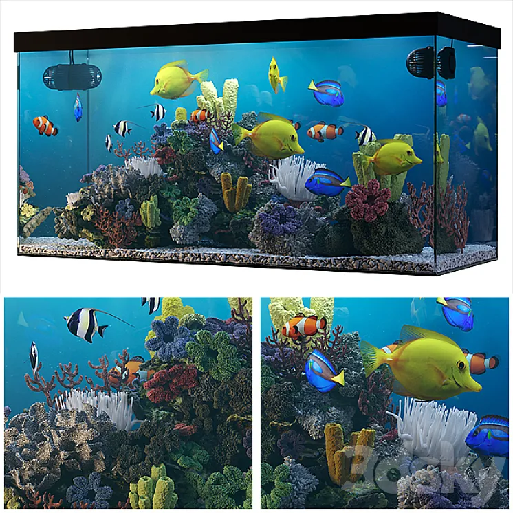 Seawater aquarium 3DS Max