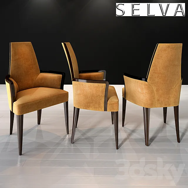 Selva armchair Art.1057 3ds Max