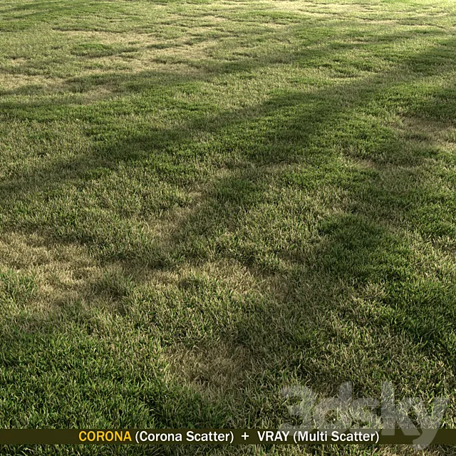 Semi Dry Grass 3ds Max