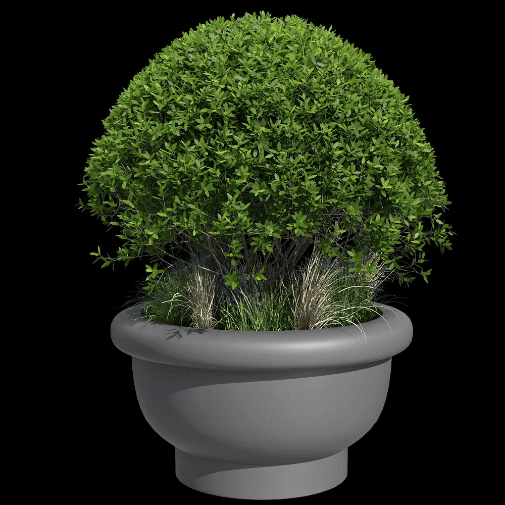 Serralunga – Planet KEW 3ds Max