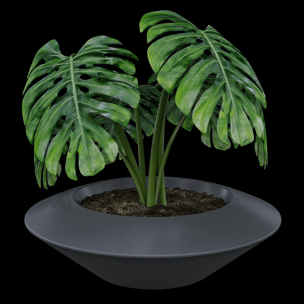 Serralunga – Planter IN ORBITA 3ds Max