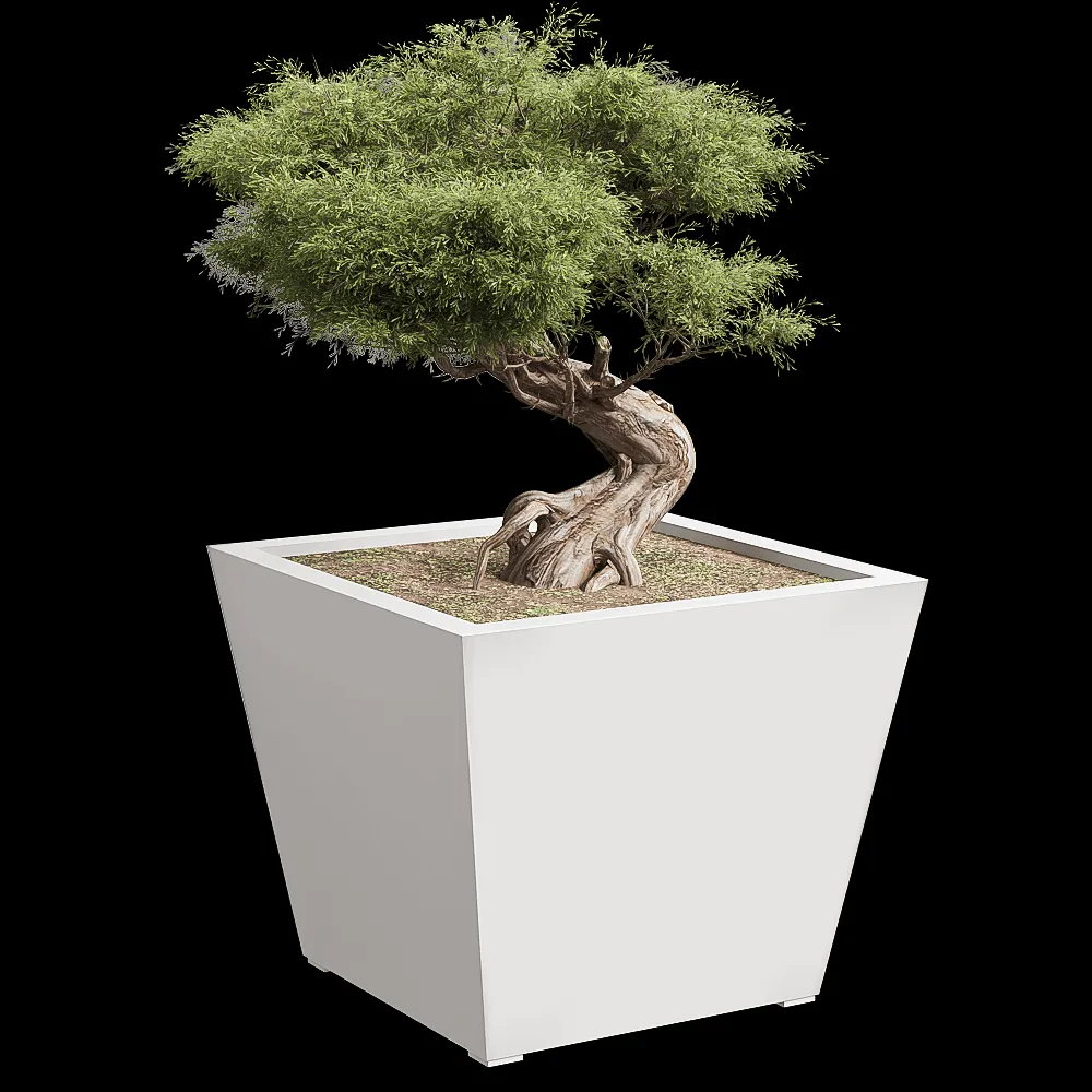 Serralunga – Planter Kabin 3ds Max