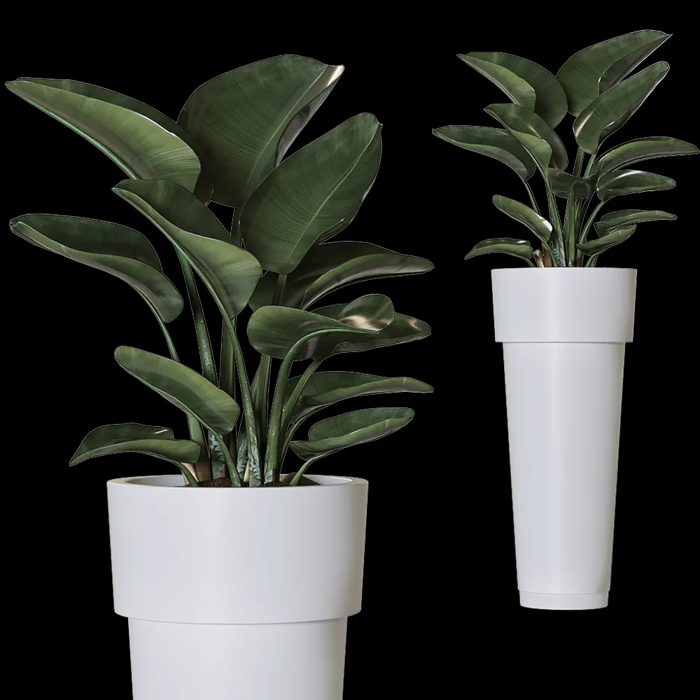 Serralunga – Planter Marcantonio 3ds Max