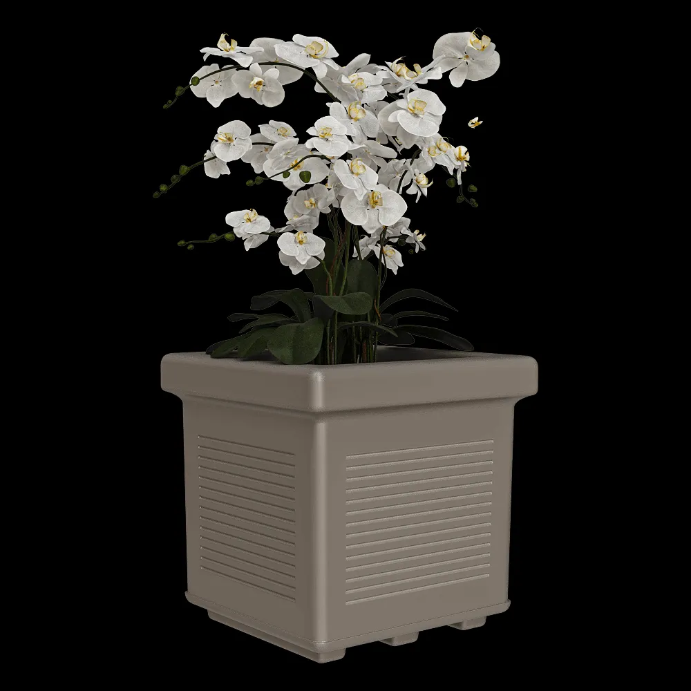 Serralunga – Planter Millerighe 2 3ds Max