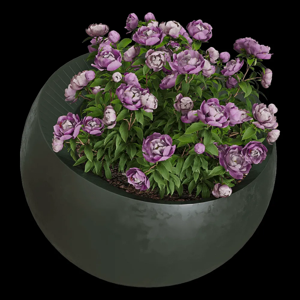 Serralunga – Planter Uovo di Colombo 3ds Max