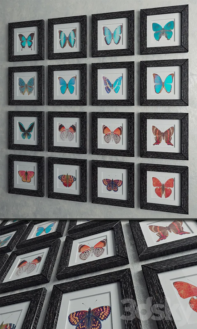 Set “Butterfly” 3DSMax File