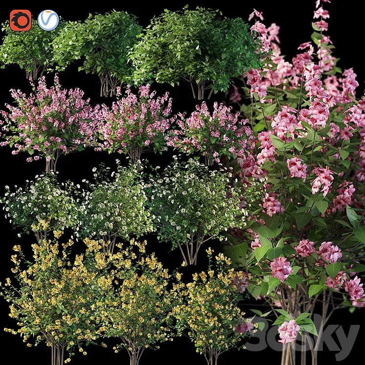 Set flowering shrubs 4 3DS Max