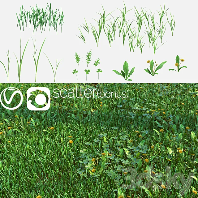 Set for the creation of field grass and lawns 3DS Max Model