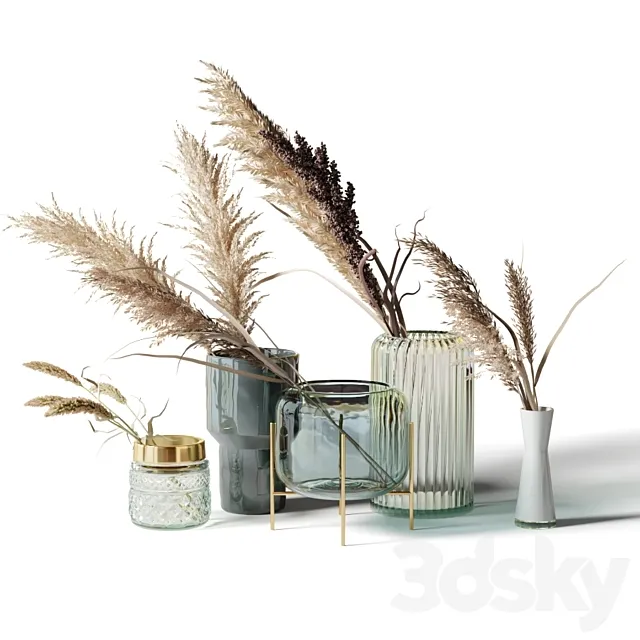 Set of 5 bouquets of dried flowers in glass vases 3DS Max Model