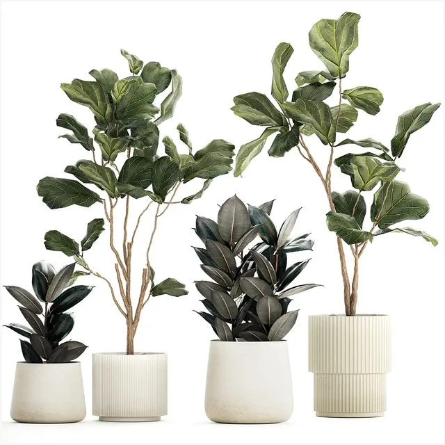 Set of beautiful trees in pots 1244 3dsMax Model