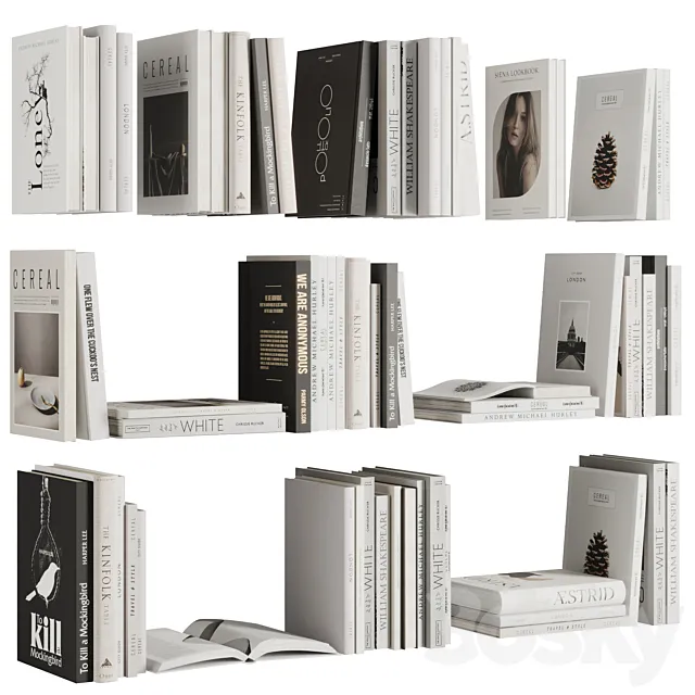 Set of Books V1 3DS Max Model