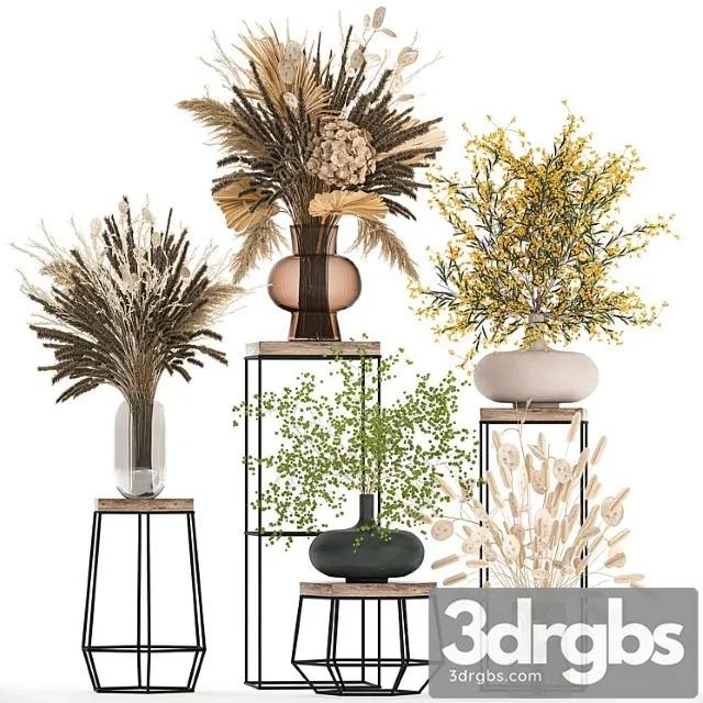 Set of Bouquets of Dried Flowers in Vases for Decor on Shelves Branches Pampas Grass 216 3dsmax Download