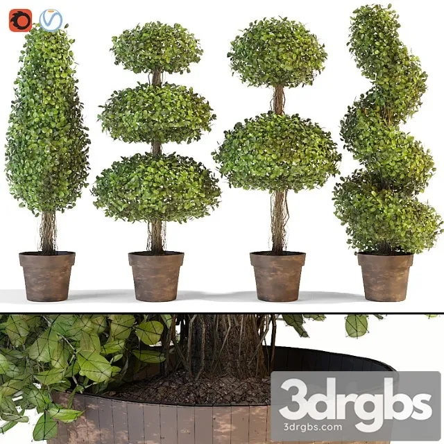 Set of decorative trees