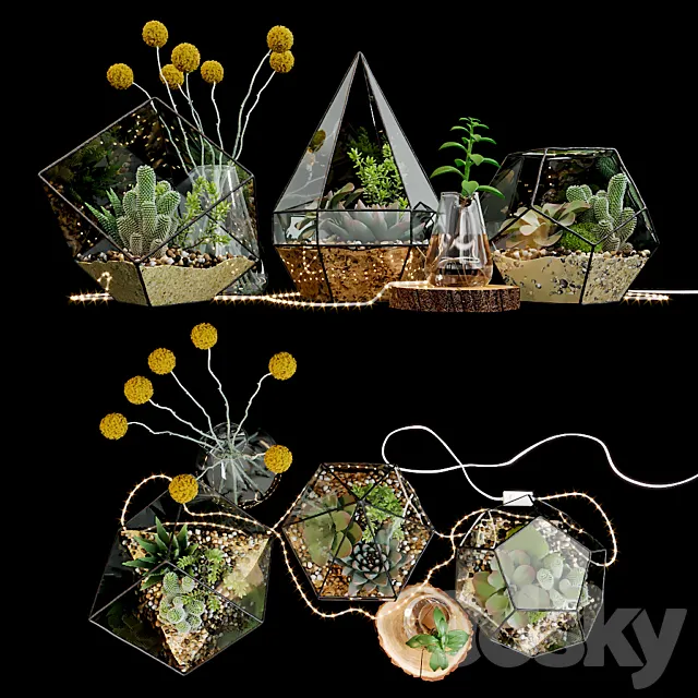 Set of florariums 3ds Max