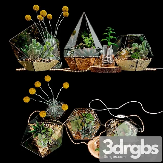 Set of florariums