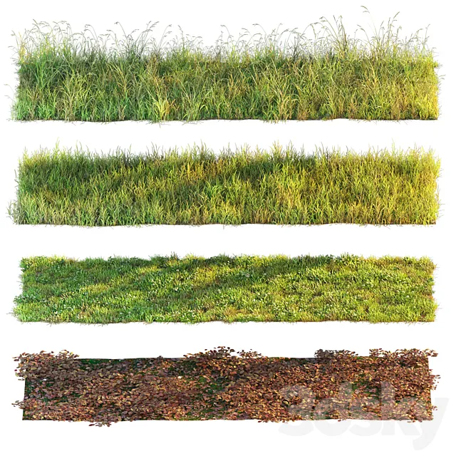 Set of grass and leaves. 3DS Max Model