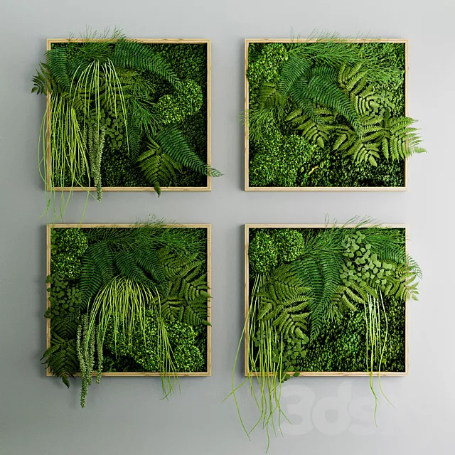 Set of moss and fern phyto modules 3ds Max