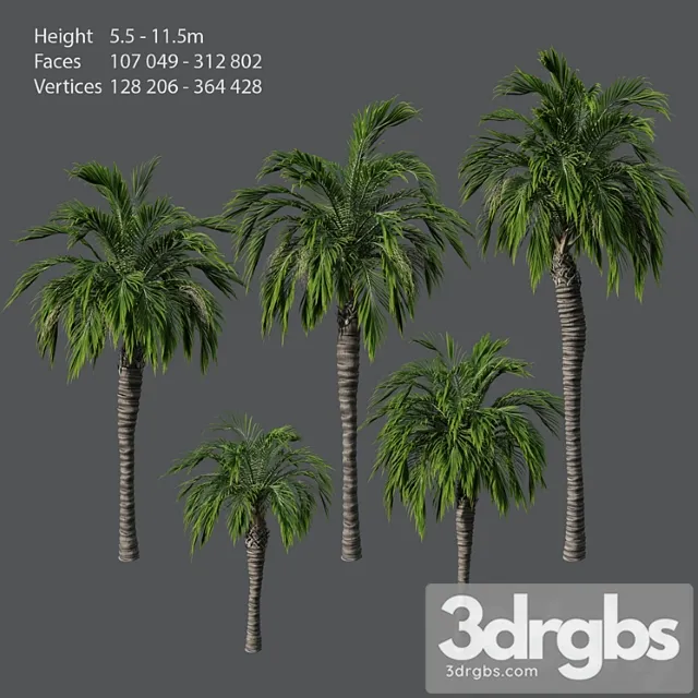 Set of Palm Trees 3dsmax Download