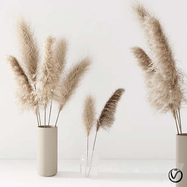 Set of pampas in vase 3DS Max Model