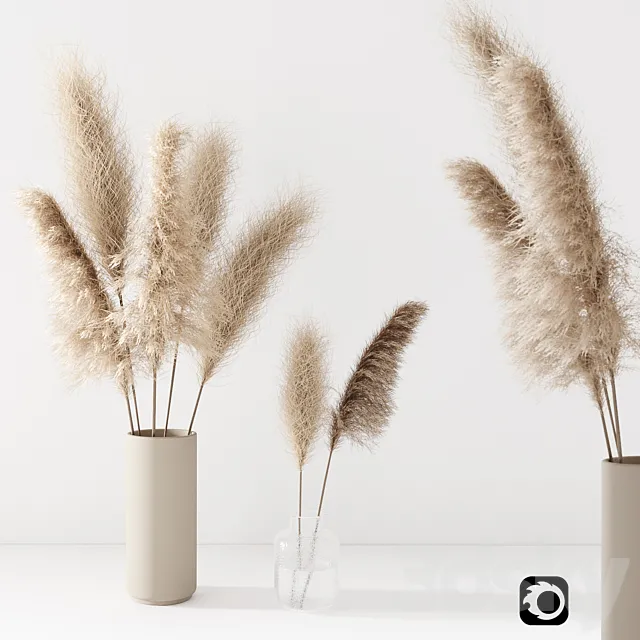 Set of pampas in vase 3DSMax File