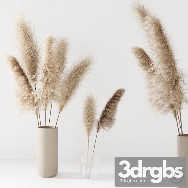 Set of pampas in vase