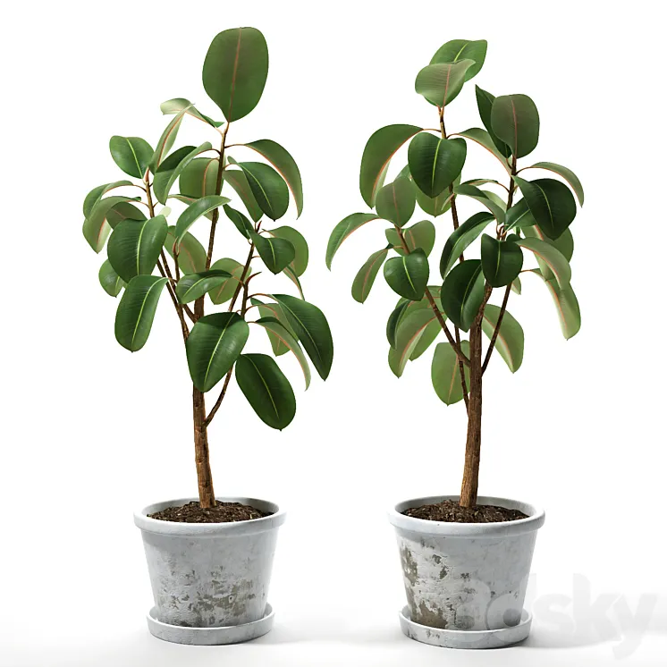 Set of plants 05 3DS Max