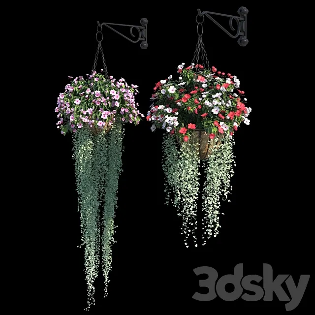 Set of plants No. 2 (balsamine + dichondra) 3DS Max Model