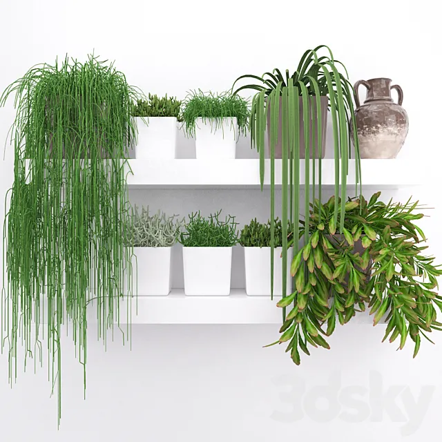 Set of succulents – ripsalis 3DSMax File
