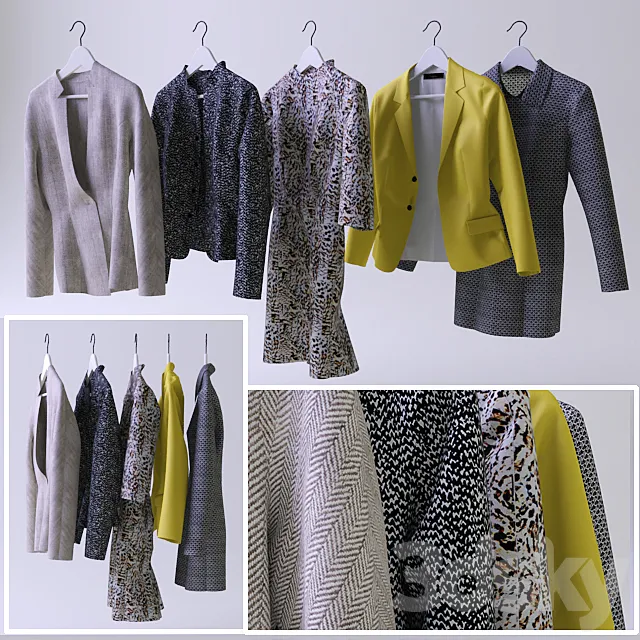 Set of women’s clothing 3DS Max Model