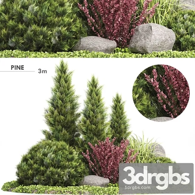 Set plants 223 – outdoor garden