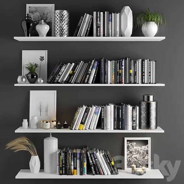 set1101 -book shelve 3DSMax File