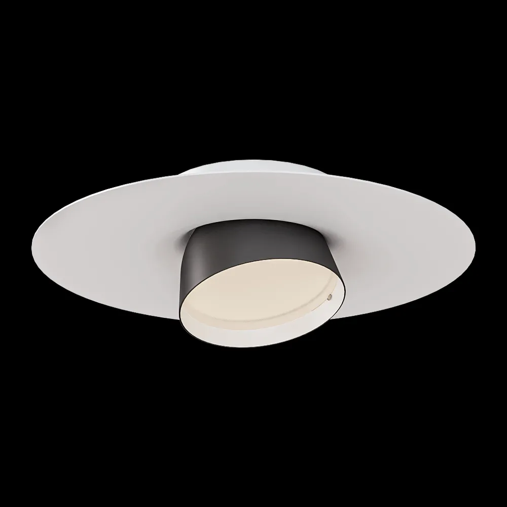 Seyvaa – Big Brother Ceiling 3ds Max