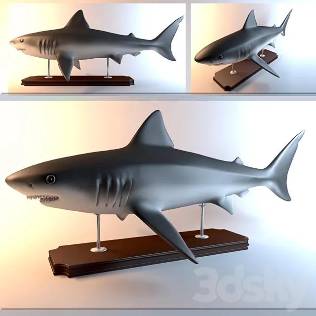 Shark 3DSMax File