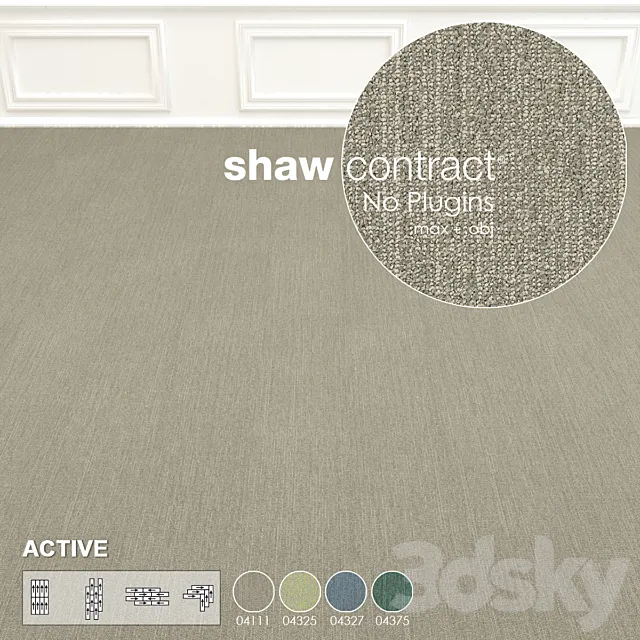 Shaw Carpet Active Wall to Wall Floor No 10 3DS Max Model