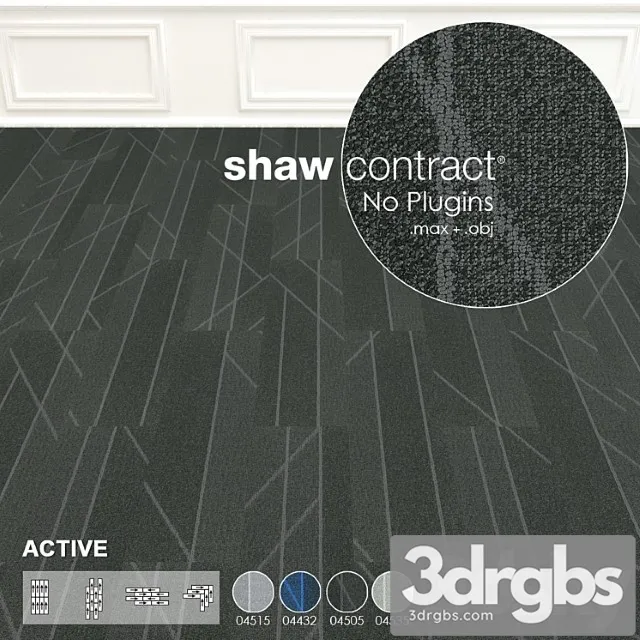 Shaw Carpet Active Wall To Wall Floor No 5 3dsmax Download