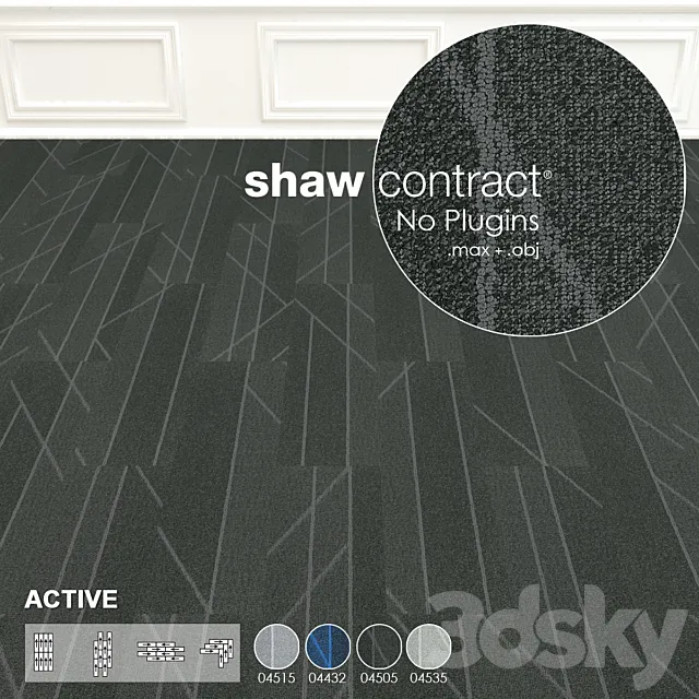 Shaw Carpet Active Wall to Wall Floor No 5 3ds Max