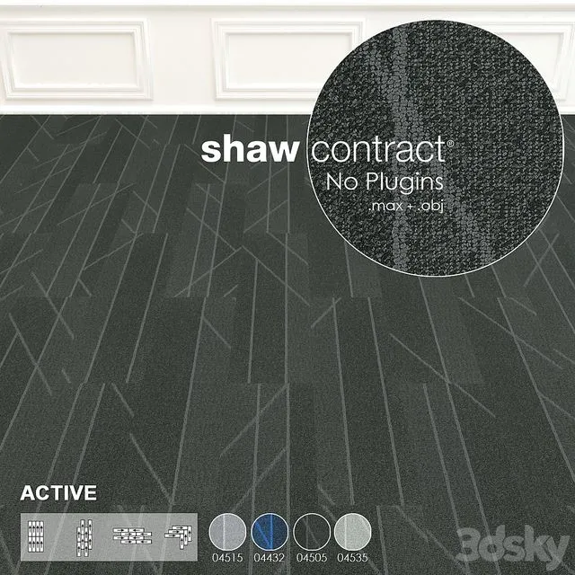 Shaw Carpet Active Wall to Wall Floor No 5 3dsMax Model