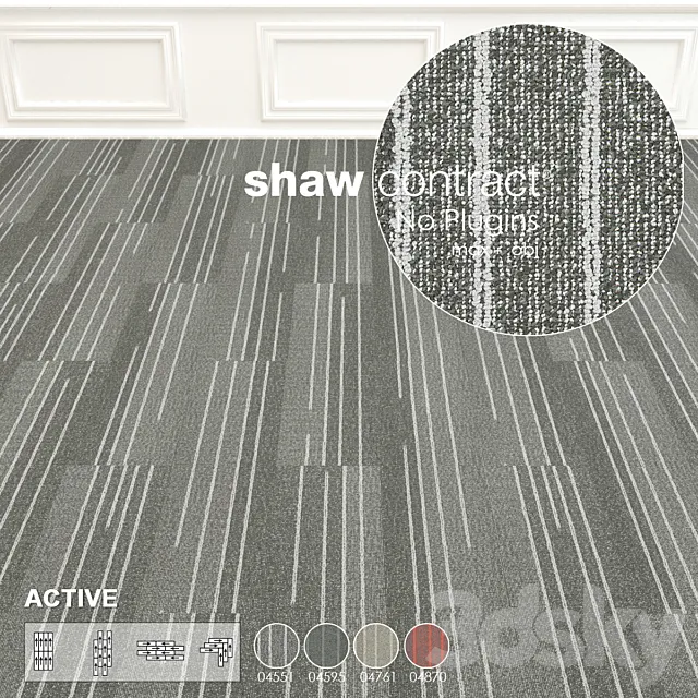 Shaw Carpet Active Wall to Wall Floor No 9 3ds Max