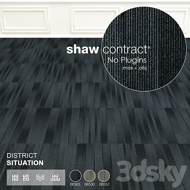 Shaw Carpet District Situation Wall to Wall Floor No 1 3ds Max