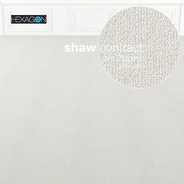 Shaw Carpet Hexagon Plane No: 2 3DS Max Model