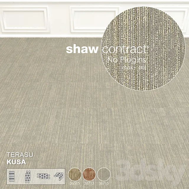 Shaw Carpet Terasu Kusa Wall to Wall Floor No 2 3DS Max Model