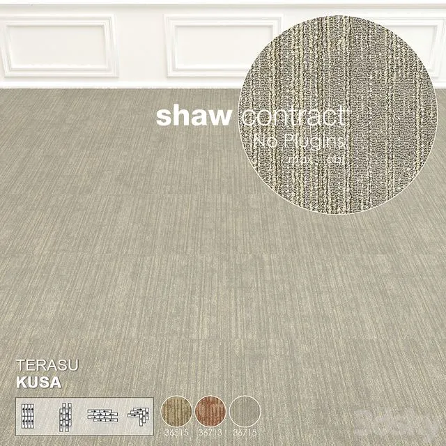 Shaw Carpet Terasu Kusa Wall to Wall Floor No 2 3dsMax Model