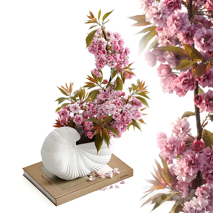 Shell Pot with Sakura Ferm Living 3DS Max Model