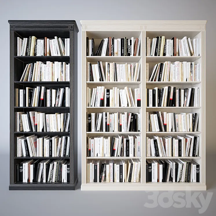 Shelves of books 3DS Max