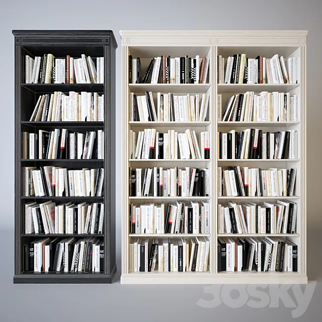 Shelves of books 3DSMax File