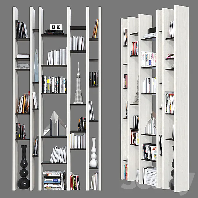 Shelving 016. 3ds Max