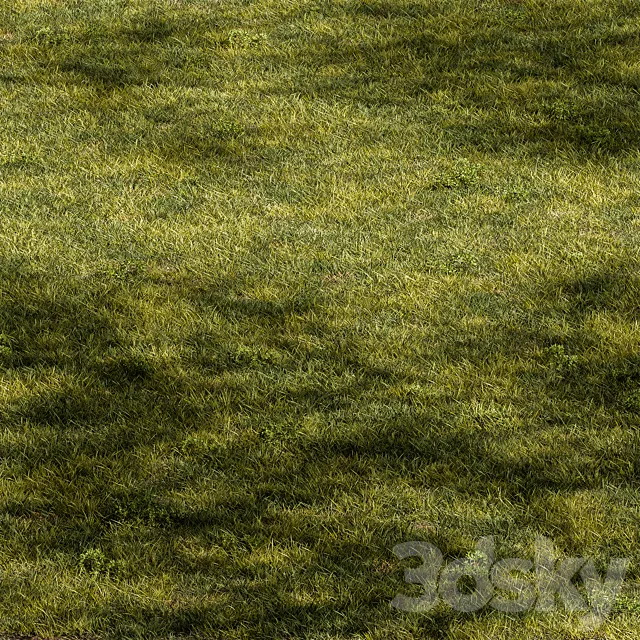 Short Grass Set 31 3ds Max